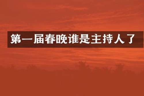 第一届谁是主持人了