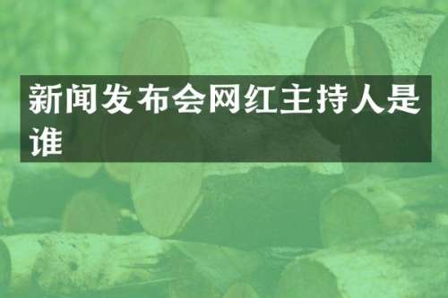 新闻发布会网红主持人是谁