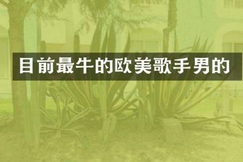 目前最牛的欧美歌手男的