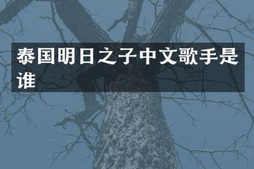 泰国明日之子中文歌手是谁
