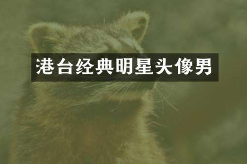 港台经典明星头像男