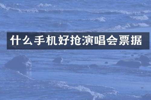 什么手机好抢演唱会票据