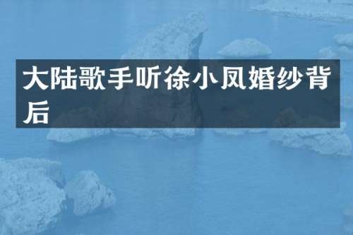 大陆歌手听徐小凤婚纱背后