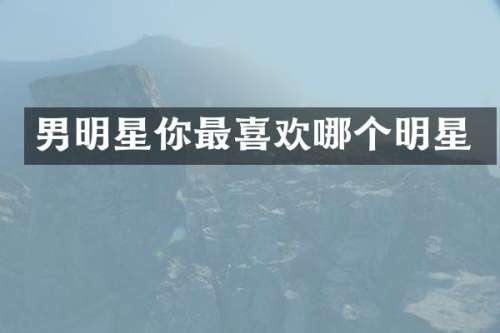 男明星你最喜欢哪个明星