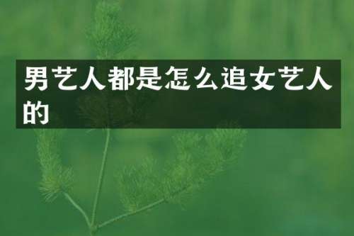男艺人都是怎么追女艺人的