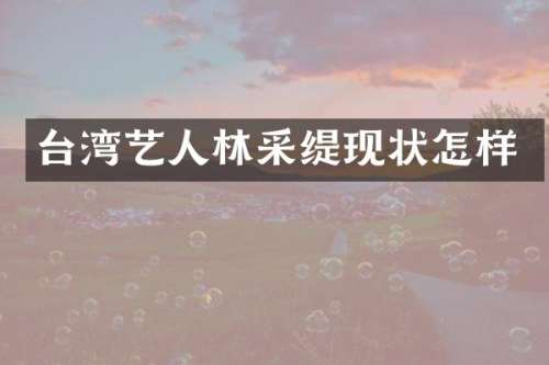 台湾艺人林采缇现状怎样