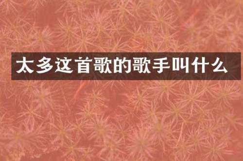 太多这首歌的歌手叫什么
