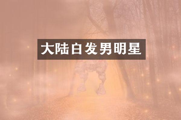 大陆白发男明星