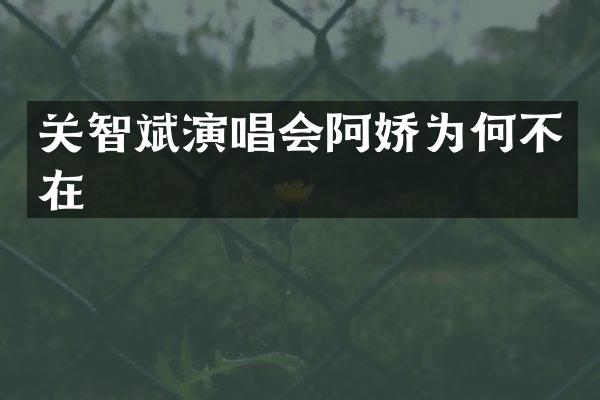 关智斌演唱会阿娇为何不在