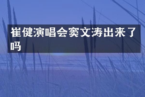 崔健演唱会窦文涛出来了吗