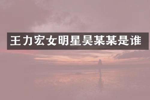 王力宏女明星吴某某是谁