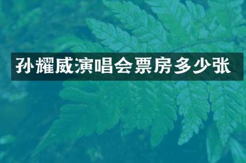 孙耀威演唱会票房多少张