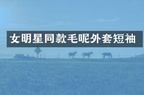 女明星同款毛呢外套短袖