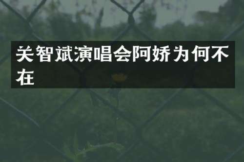关智斌演唱会阿娇为何不在
