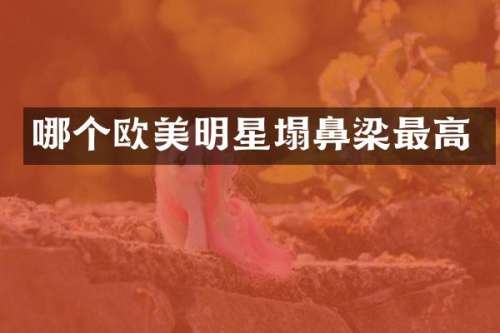 哪个欧美明星塌鼻梁最高
