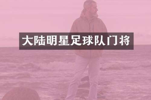 大陆明星足球队门将