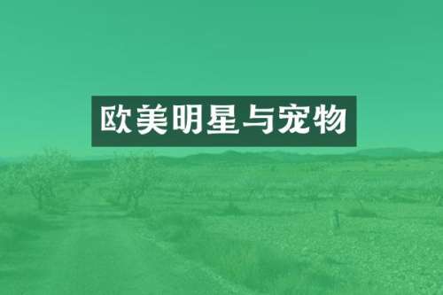 欧美明星与宠物