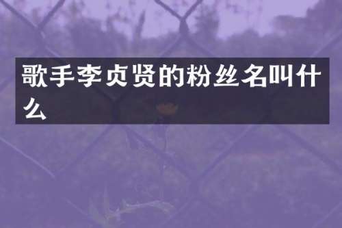 歌手李贞贤的粉丝名叫什么