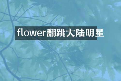 flower翻跳大陆明星