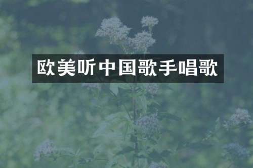 欧美听中国歌手唱歌