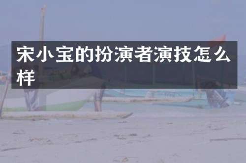 宋小宝的扮演者演技怎么样