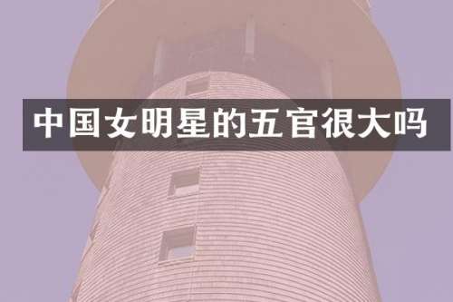 中国女明星的五官很大吗
