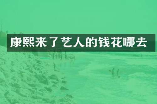 康了艺人的钱花哪去