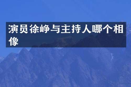 演员徐峥与主持人哪个相像