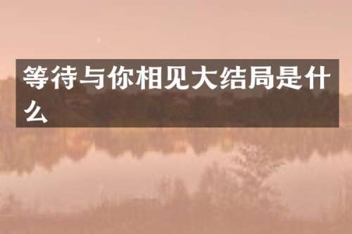 等待与你相见大结局是什么