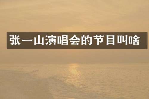 张一山演唱会的节目叫啥