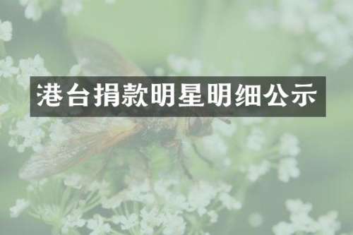 港台捐款明星明细公示