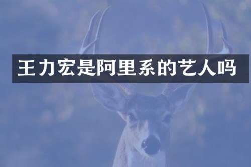 王力宏是阿里系的艺人吗