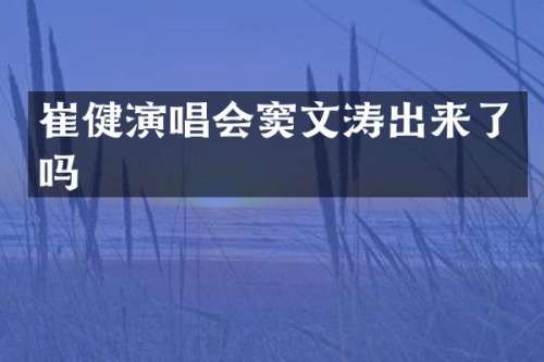 崔健演唱会窦文涛出来了吗
