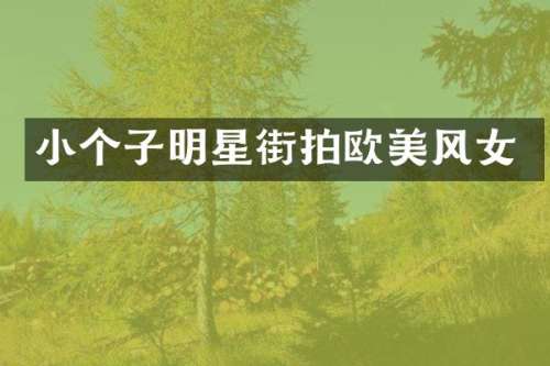 小个子明星街拍欧美风女