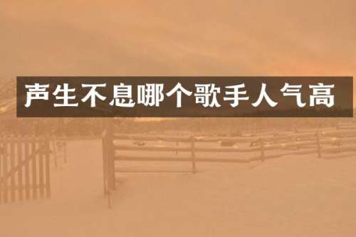 声生不息哪个歌手人气高