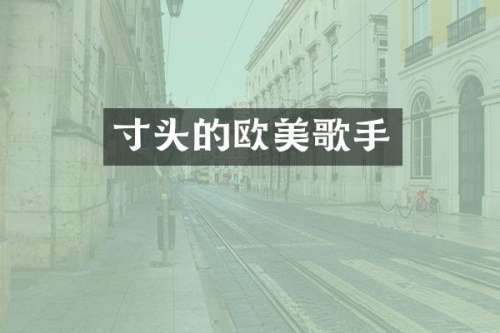 寸头的欧美歌手