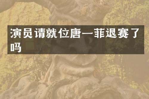 演员请就位唐一菲退赛了吗
