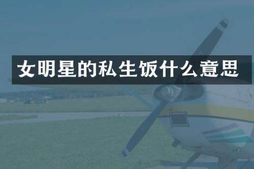 女明星的私生饭什么意思