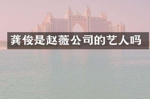 龚俊是赵薇公司的艺人吗