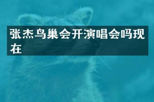 张杰鸟巢会开演唱会吗现在
