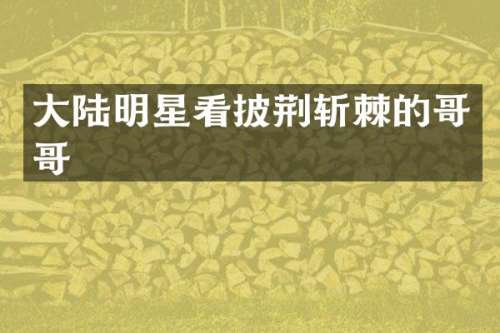 大陆明星看披荆斩棘的哥哥