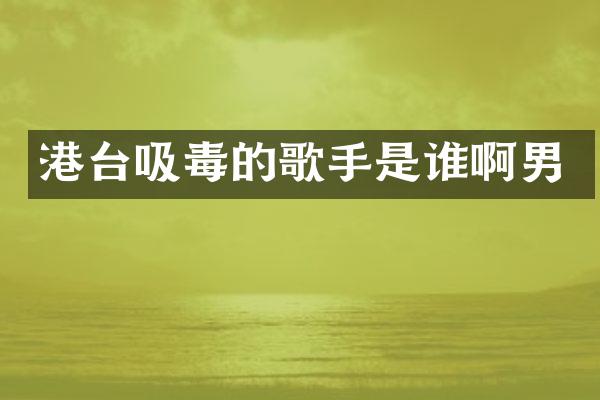 港台吸毒的歌手是谁啊男
