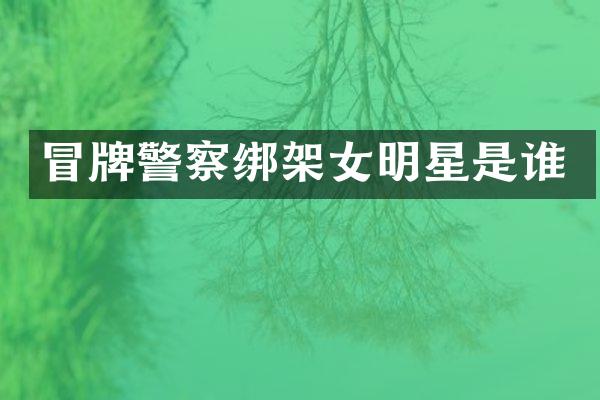 冒牌警察绑架女明星是谁