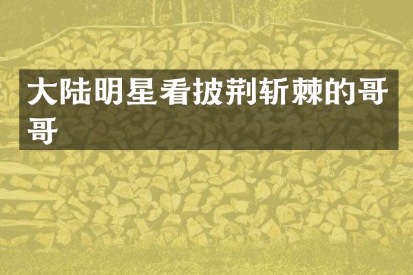 大陆明星看披荆斩棘的哥哥