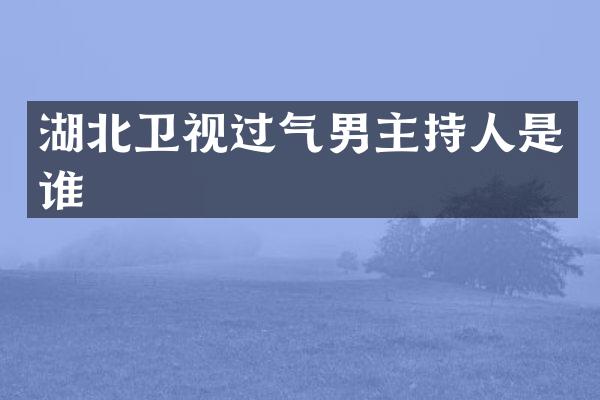 湖北卫视过气男主持人是谁