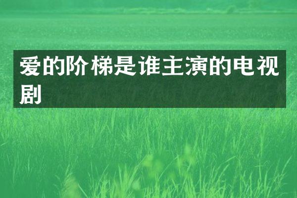 爱的阶梯是谁主演的电视剧