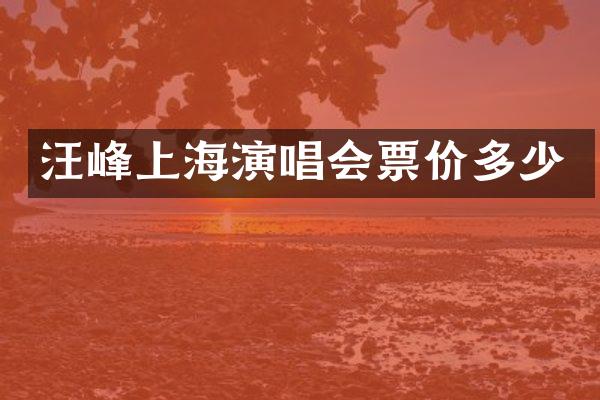 汪峰上海演唱会票价多少