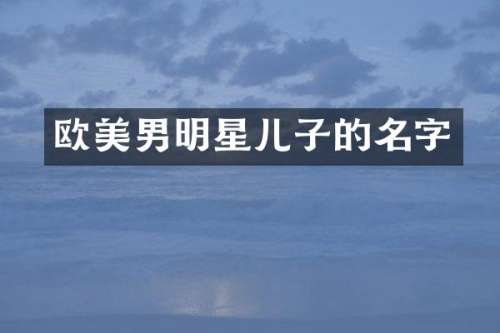 欧美男明星儿子的名字