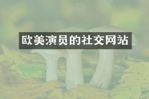 欧美演员的社交网站