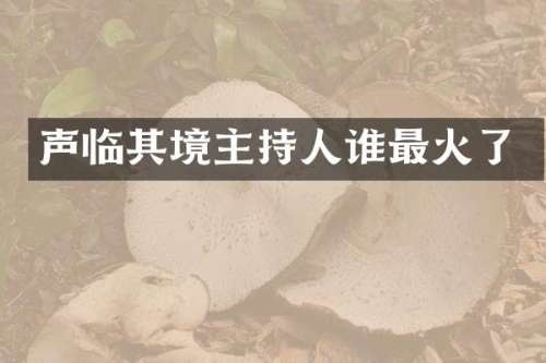 声临其境主持人谁最火了